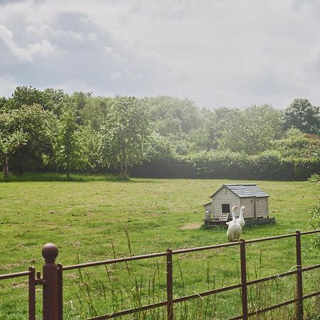 Apple Tree Cottage Beckford Luaran gambar