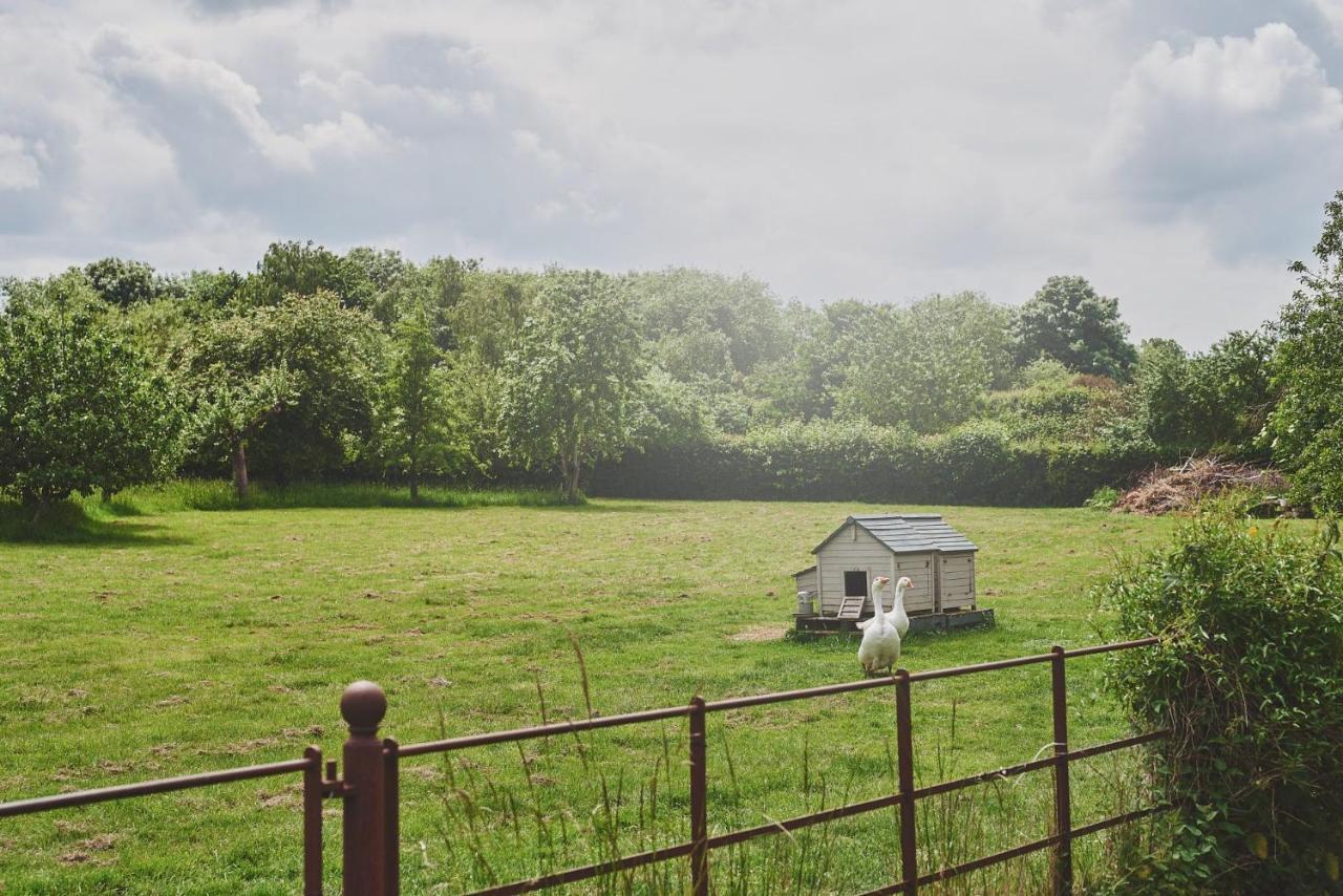 Apple Tree Cottage Beckford Luaran gambar