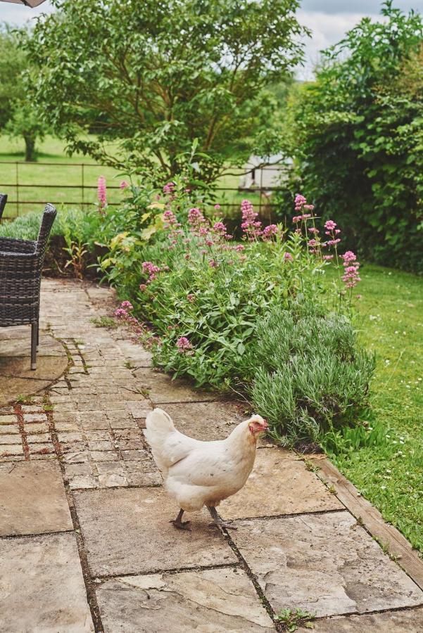 Apple Tree Cottage Beckford Luaran gambar